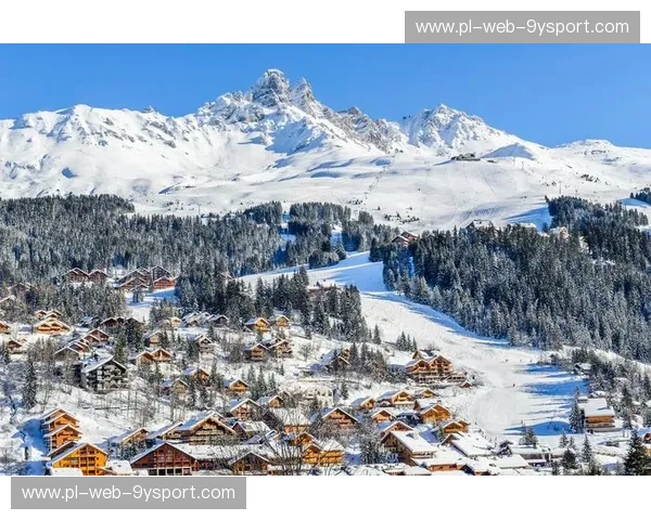 分析滑雪：从技术到生活的全景解读